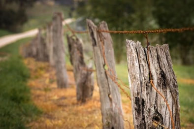 REMOVE OLD FENCING