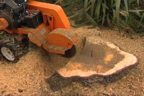 Stump Grinder